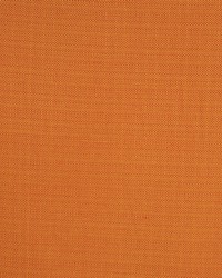 Equus Topaz by  RM Coco 