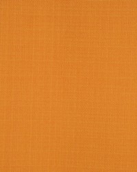 Equus Glow by  RM Coco 