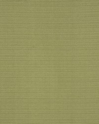 Equus Kiwi by  RM Coco 