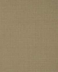 Equus Thyme by  RM Coco 