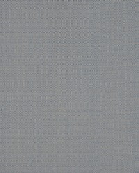 Equus Twilight by  RM Coco 