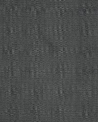 Equus Charcoal by  RM Coco 