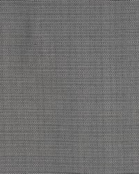 Equus Carbon by  RM Coco 