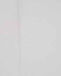 Equus Lamb by  RM Coco 