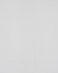 Equus Eggshell by  RM Coco 