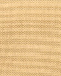 Equus Marzipan by  RM Coco 