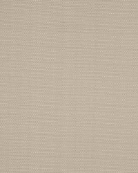 Equus Putty by  RM Coco 