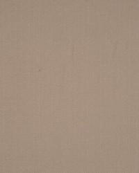 Equus Bark by  RM Coco 