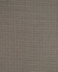 Equus Fossil by  RM Coco 