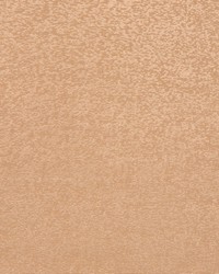 Luminary Taupe by   