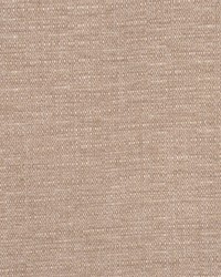 Blend Mushroom by  RM Coco 