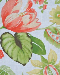 Marvin Passion Fruit by  RM Coco 