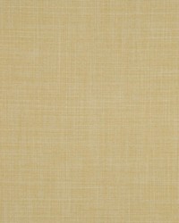 Fervor Eucalyptus by   