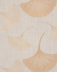 Betty Parchment by  RM Coco 