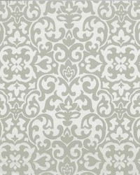 Chiefs Cloud by  RM Coco 