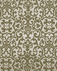 Chiefs Mojave by  RM Coco 