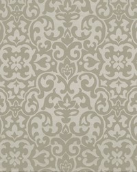 Chiefs Fungi by  RM Coco 