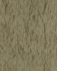 Doral Safari by  RM Coco 