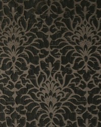 Spyglass Wren by  RM Coco 