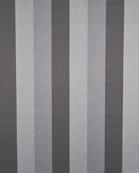 Earn Your Stripes RM Coco Fabric