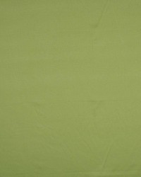 Valencia Leaf by  RM Coco 