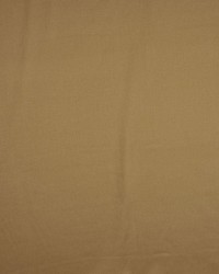 Valencia Mushroom by  RM Coco 