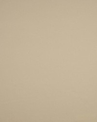 Valencia Almond by  RM Coco 