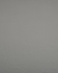 Valencia Pewter by  RM Coco 