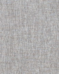 Wallace Wren by  RM Coco 