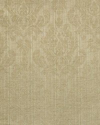 Caserta Fern by  Silver State 