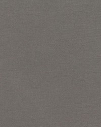 Mitch Bungee by  RM Coco 