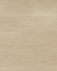 Mitch Biscotti by  RM Coco 