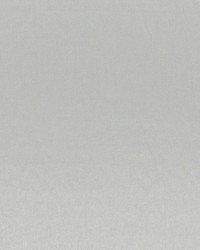 Axis Silver by  RM Coco 