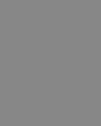 Axis Hibiscus by  RM Coco 