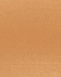 Axis Topaz by  RM Coco 