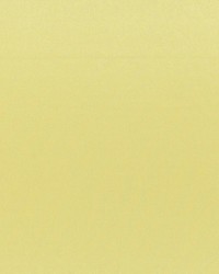 Axis Pineapple by  RM Coco 