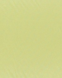 Axis Lemon by  RM Coco 