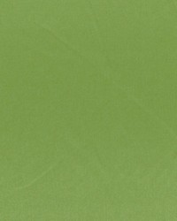 Axis Clover by  RM Coco 