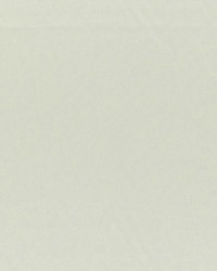 Axis Putty by  RM Coco 