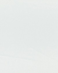 Axis Champagne by  RM Coco 