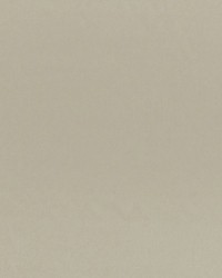 Axis Antelope by  RM Coco 