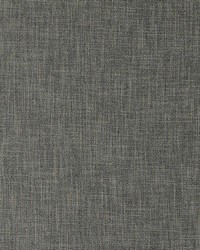 Chas Pinecone by  RM Coco 