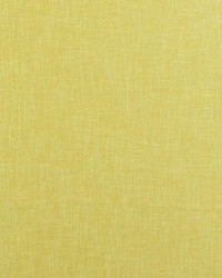 Chas Nugget by  RM Coco 