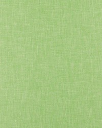 Chas Fern by  RM Coco 