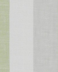 Palace Moss by  Stout 