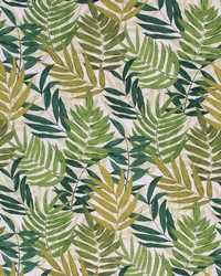 Island Breeze Palm by   