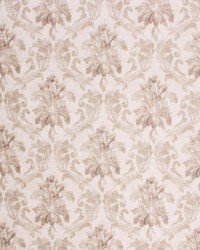 Chartwell Damask Satinwood by   