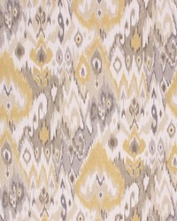 Srinagar Stardust by   