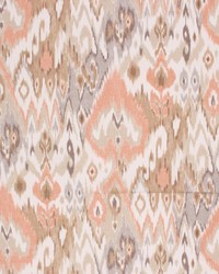 Srinagar Coral Reef by   