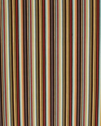 Cheltenham Stripe Blackbird by   
